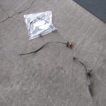 東京都Ｎ様　お預かりＡＥ８６レビン